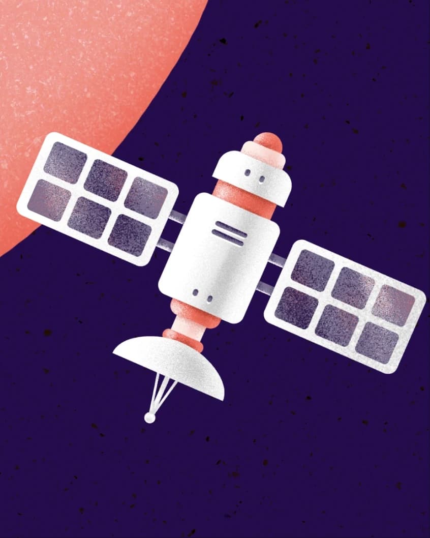 Belka — image 3