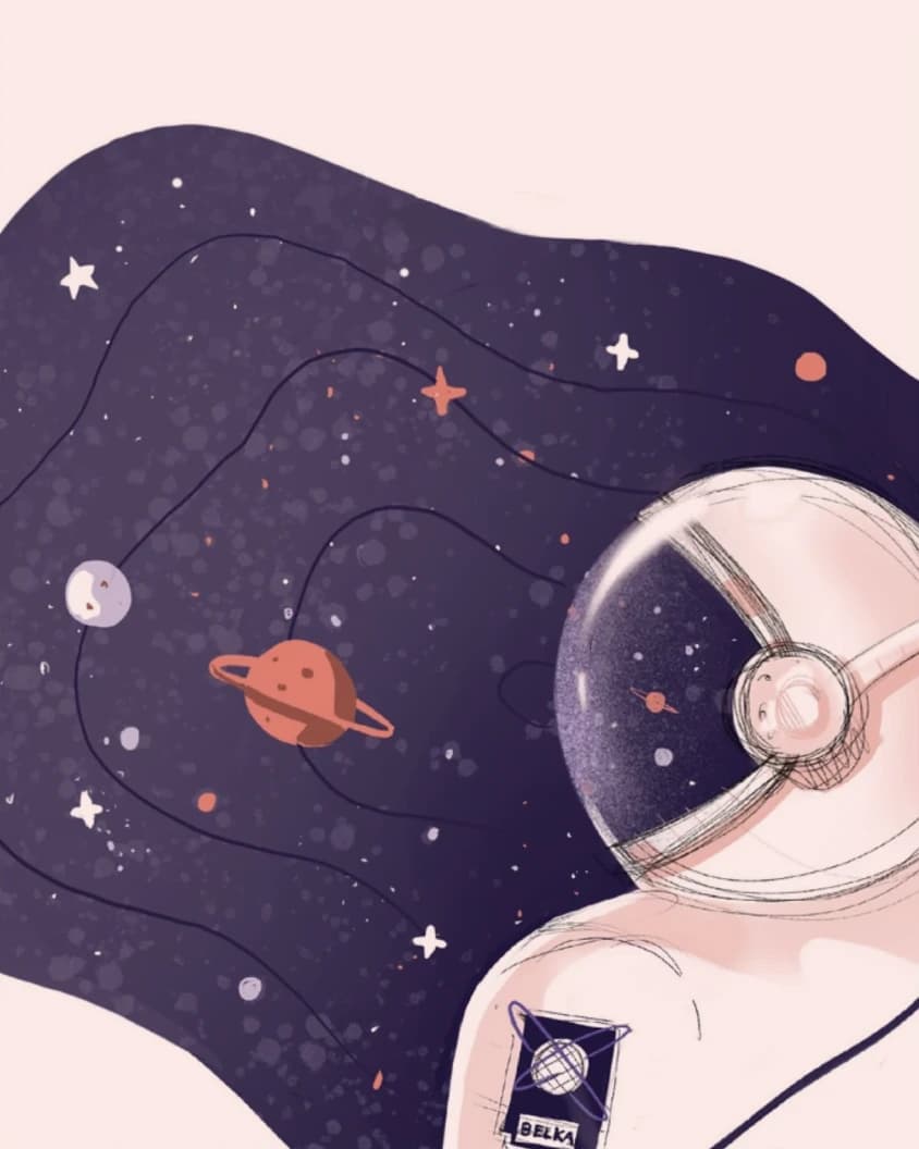 Belka — image 5