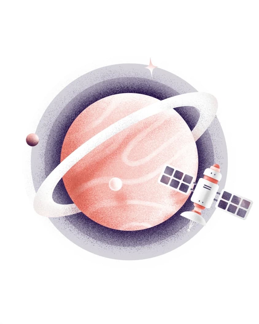 Belka — image 7